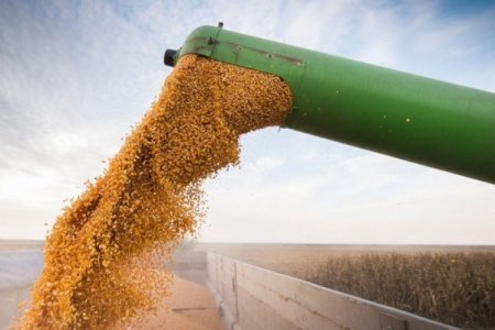 <p>Gigante cerealera anunció despidos a nivel mundial que podrían afectar a Argentina</p>