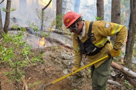 <p>Incendios en la Patagonia argentina afectan a hoteleros y complican el fin de la temporada de verano</p>