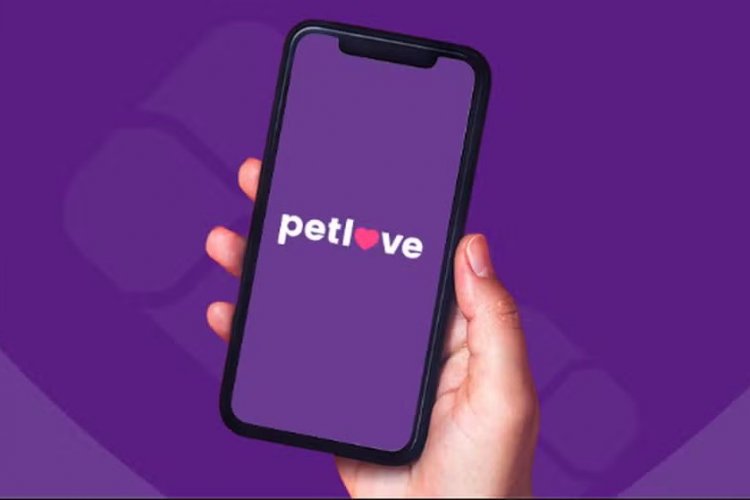 <p>Los futuros unicornios están en Brasil, Argentina y México, según lista de Distrito</p>