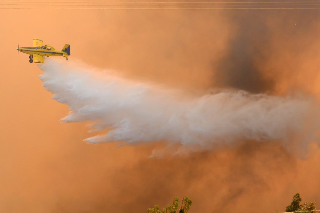 Incendios forestales arrasan 44 mil hectáreas en Chile