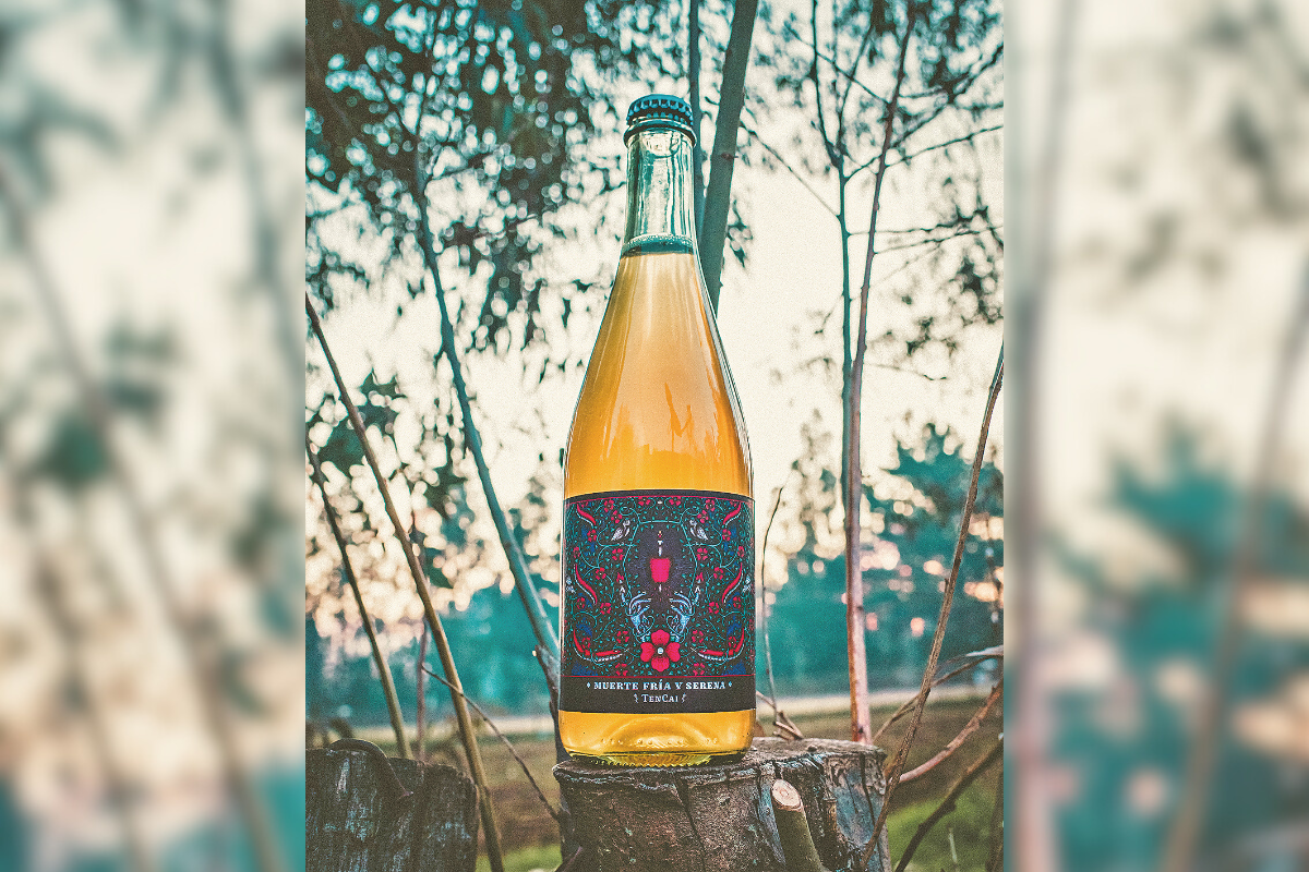 <p>El renacer de la sidra chilena</p>
