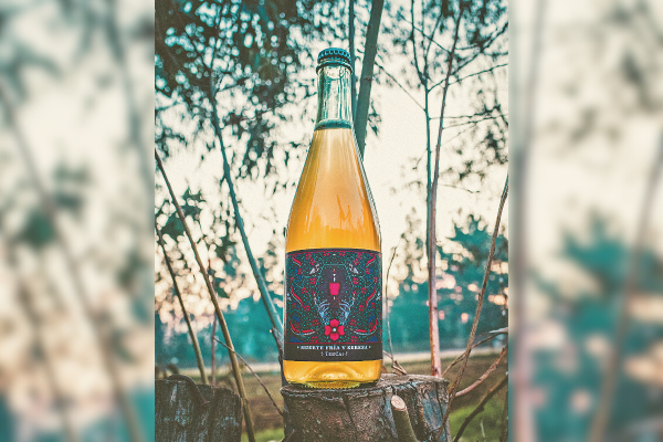 El renacer de la sidra chilena