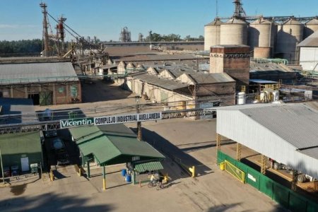 <p>Cerealera argentina Vicentin perdió US$ 70 millones tras 27 meses sin poder cerrar su concurso</p>
