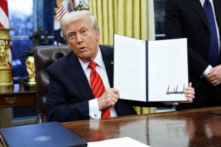 <p>Trump añadirá la madera a la lista de bienes que sufrirán aranceles "el próximo mes o antes"</p>