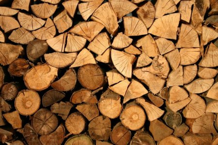 <p>Empresas forestales de Argentina planean invertir US$ 3.000 millones por ingreso al RIGI</p>
