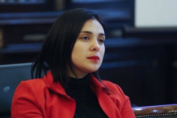 Allanamiento a Karol Cariola: Un día de controversia y nacimiento