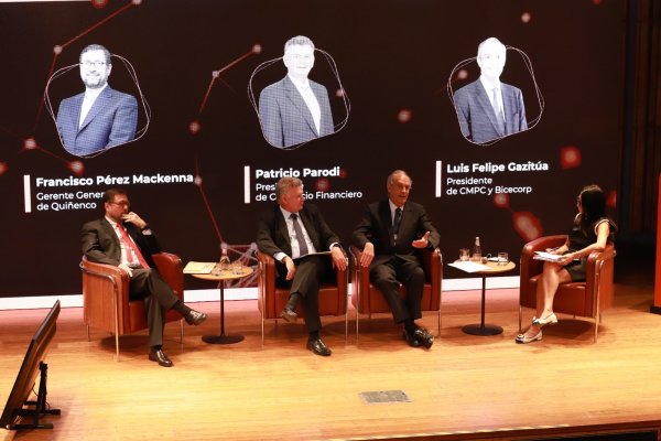 Desafíos de inversión en el sector forestal chileno según CMPC