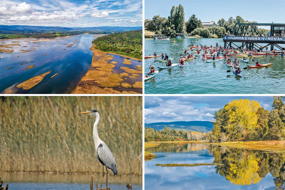 <p>Valdivia, la primera Ciudad Humedal de Chile</p>