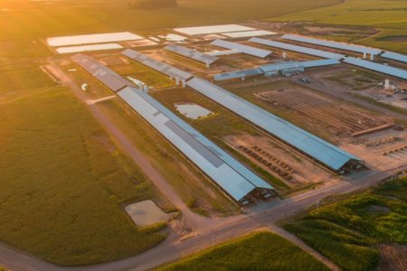 <p>De Soros a las criptomonedas: Tether pagó US$ 600 millones y toma el control de la argentina Adecoagro</p>