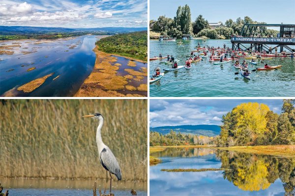 Valdivia, la primera Ciudad Humedal de Chile