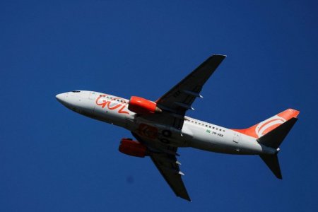 <p>A meses de concretar su reestructuración, aerolínea brasileña Gol sufre traspié tras repentina renuncia de su vicepresidente financiero</p>
