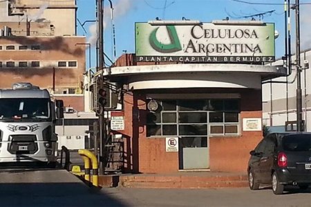 <p>Celulosa Argentina entra en default: cambió de CEO y contrató una consultora para reestructurar su deuda</p>