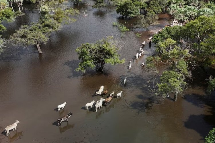 <p>Crisis sin tregua en Bolivia: inflación, lluvias y pobreza marcan el año electoral</p>