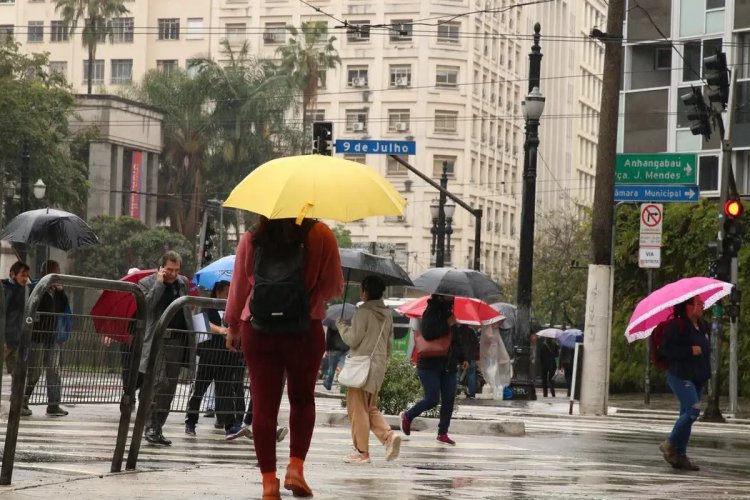 <p>São Paulo en estado de alerta por nuevo apagón: casi 100 mil hogares clientes de Enel se quedan sin luz por fuertes lluvias</p>