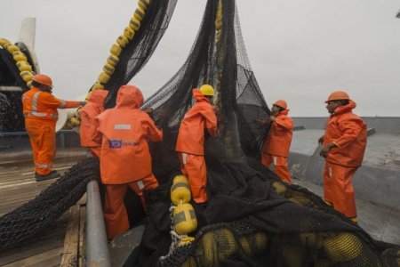 Pesquera peruana Exalmar, en la que la familia Piñera Morel tiene el 9,2% de propiedad, adquiere el 100% de Centinela del Grupo Romero