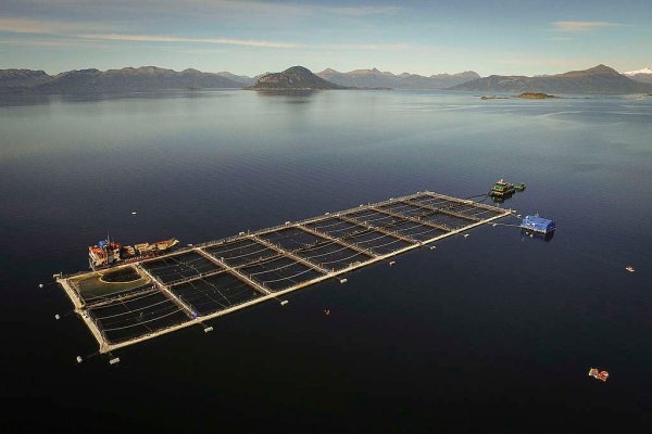 Inversiones en salmonicultura y energía verde: un futuro prometedor para Südlich