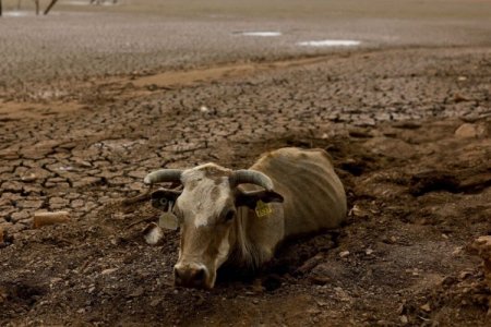 <p>Agricultores del norte de México luchan contra la sequía en medio de disputa por agua con EEUU</p>