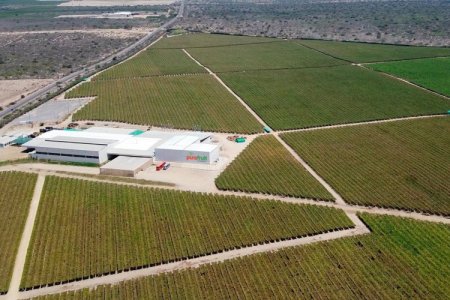 <p>El nutrido abanico de negocios que busca expandir la dupla Cueto y Piñera Morel en Perú</p>