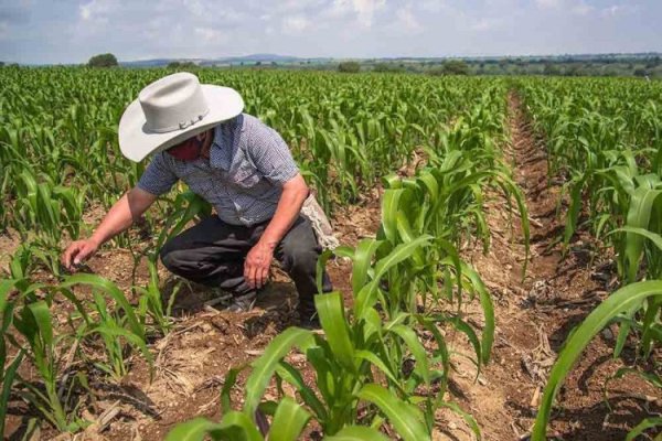 México esquiva inesperadamente la recesión, pero economía sigue siendo "débil" por incertidumbre arancelaria