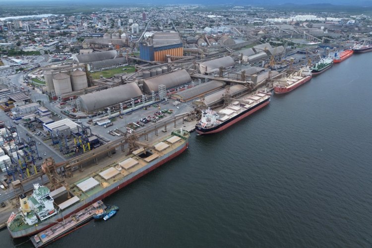 <p>Cargill, BTG y un consorcio de Louis Dreyfus están entre los ganadores de la subasta portuaria de Brasil</p>