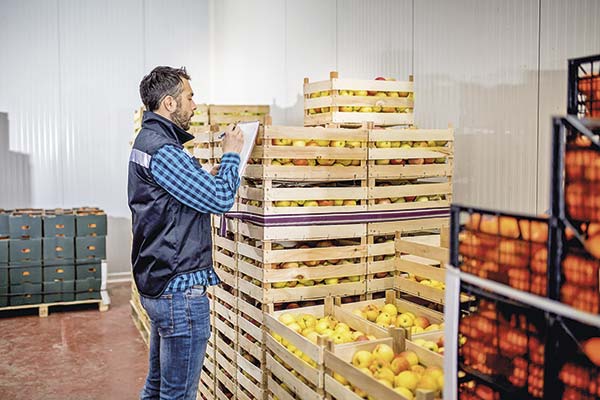 <p>Banca deja de apostar por productores de fruta y créditos caen 32% en cinco años</p>