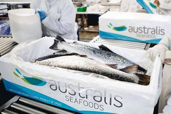 Joyvio reordena propiedad de Australis y abre la puerta a nuevos socios en la salmonera chilena