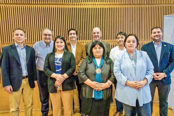 Paz en suspenso: La fractura que dejó el informe para el acuerdo de tierras en la macrozona sur