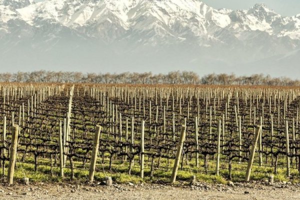 Mendoza, el corazón vitivinícola de Argentina, ahora pone su mira en las riquezas del cobre