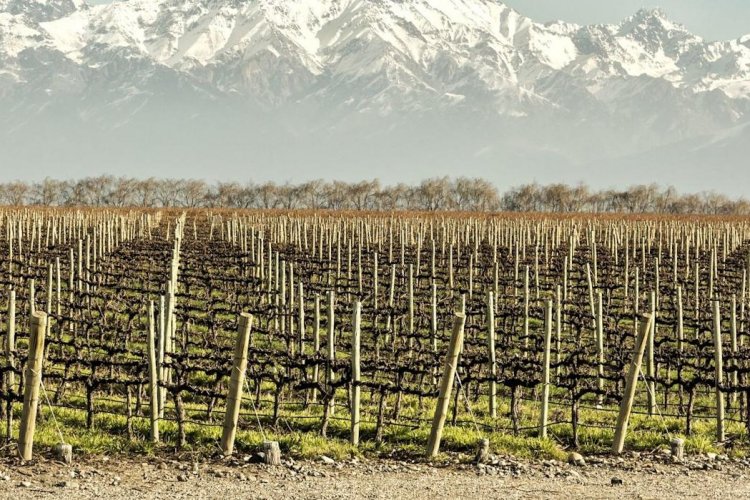 <p>Mendoza, el corazón vitivinícola de Argentina, pone la mira en las riquezas del cobre</p>