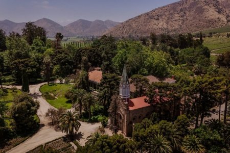 <p>El atractivo de Brasil para las viñas chilenas</p>