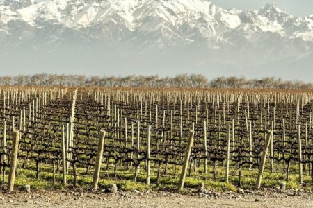 <p>Mendoza, el corazón vitivinícola de Argentina, pone la mira en las riquezas del cobre</p>