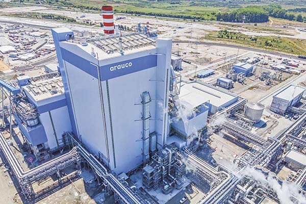 <p>Arauco registra pérdidas en el primer trimestre y advierte deterioro en mercado de celulosa por guerra comercial</p>