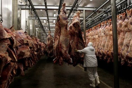 <p>Brasileña Minerva revierte pérdidas de 2024: gana casi US$ 38 millones en primer trimestre</p>