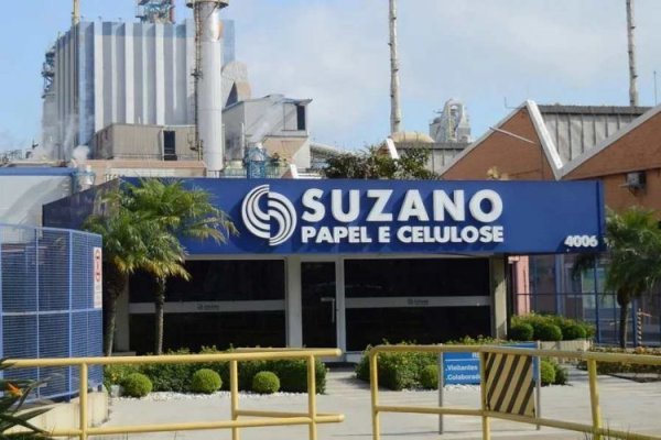 Precios bajos de la celulosa golpean a Suzano: brasileña queda al debe en el primer trimestre