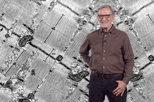 Acción Biotech: La máquina que mueve nuestro cuerpo