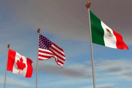 <p>México prevé que la revisión del T-MEC comenzará en el segundo semestre: Sheinbaum lamenta suspensión de importación de carne por EEUU</p>
