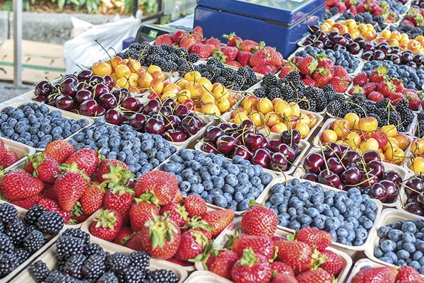 <p>La exportadora comercializa actualmente 4.750 toneladas de fruta orgánica congelada en empaques de retail. </p>