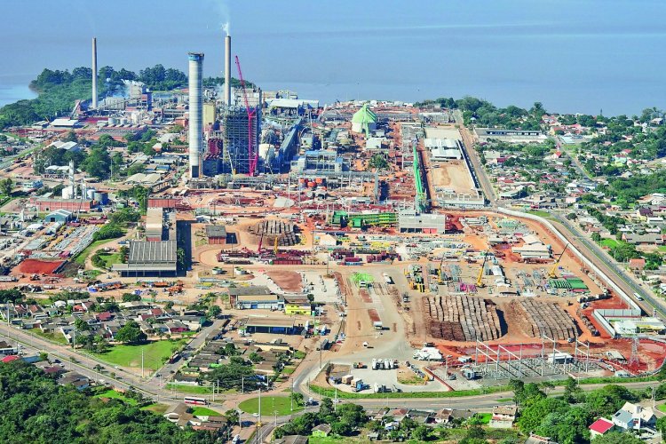 <p>De potencia forestal a hub logístico: el nuevo rol de Brasil en la cadena global de la celulosa</p>