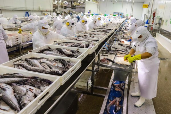 <p>PacificBlu acusa a diputado Brito de "hostigamiento" contra la empresa y toda la pesca industrial de merluza común</p>