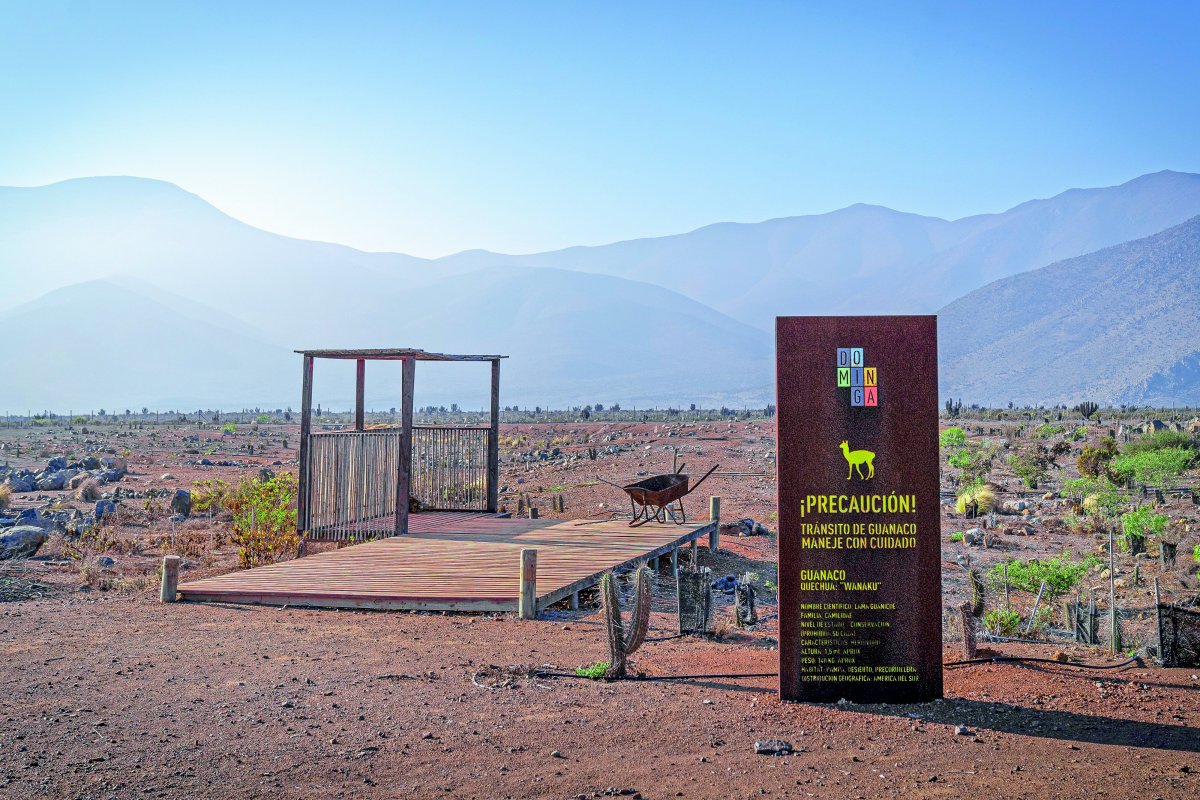 <p>Dominga pasa a la ofensiva y empieza a tramitar más de 700 permisos para construir su esperado proyecto</p>