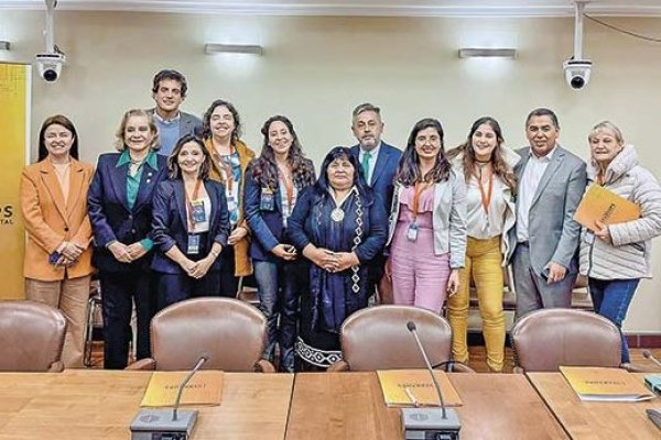 Parte de la bancada pro startups de la Cámara de Diputados.