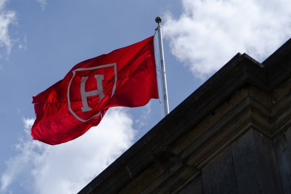 FT: la ofensiva de Trump contra Harvard desata una ola de ansiedad entre los estudiantes universitarios en EEUU