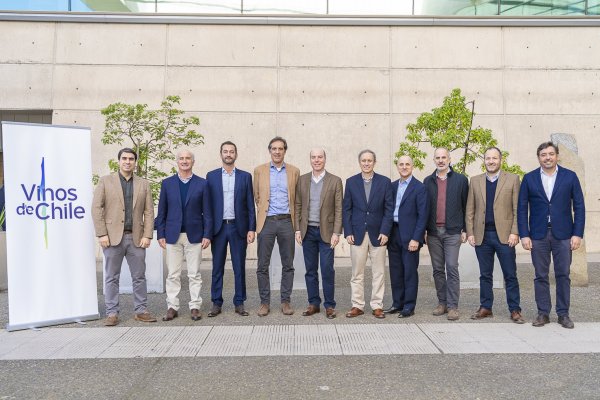<p>Alfonso Undurraga es reelecto como presidente de Vinos de Chile durante los próximos dos años</p>