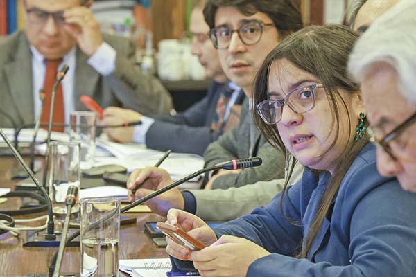 <p>La directora de Presupuestos, Javiera Martínez.</p>