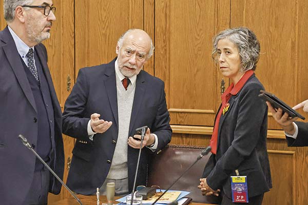 La superintendenta de Seguridad Social, Pamela Gana, expuso ante los senadores de la comisión de Salud. Foto: Aton