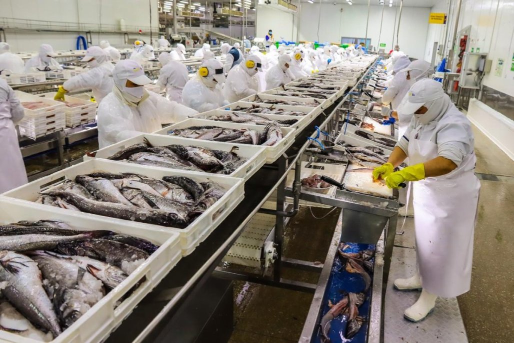 Pesquera PacificBlu revierte cierre tras acuerdo en Comisión Mixta que eleva cuota industrial para la merluza