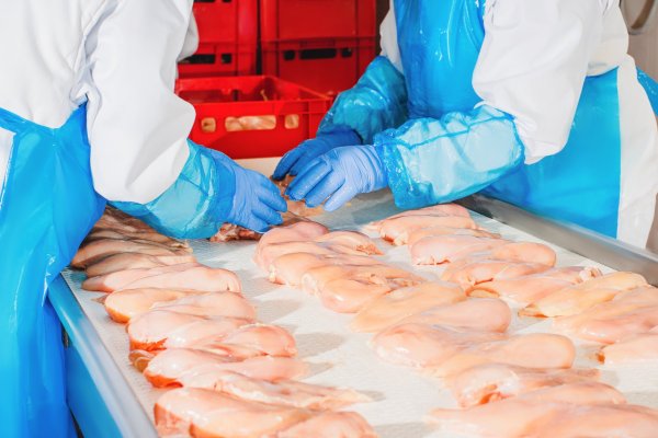 <p>Tradicional empresa de alimentos chilena en picada tras quedar fuera de millonaria licitación para proveer a organismos estatales</p>