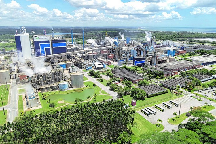 <p>Suzano adquiere el 51% del negocio global de tissue de Kimberly-Clark y pone presión sobre Softys</p>