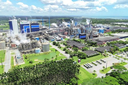 <p>Suzano adquiere el 51% del negocio global de tissue de Kimberly-Clark y pone presión sobre Softys</p>