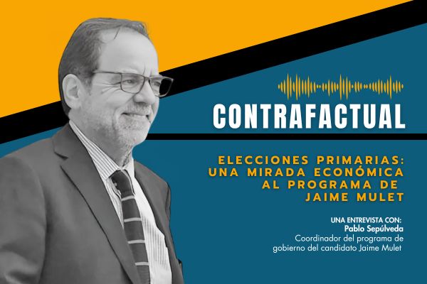 <p>🎙️ Contrafactual | Elecciones primarias: Una mirada económica al programa de Jaime Mulet</p>